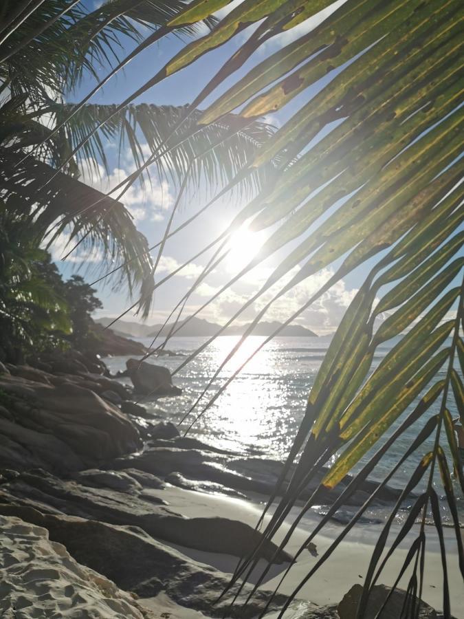 Chez Marva Grande Villa Coco 3 A 12 Personnes La Digue Eksteriør bilde